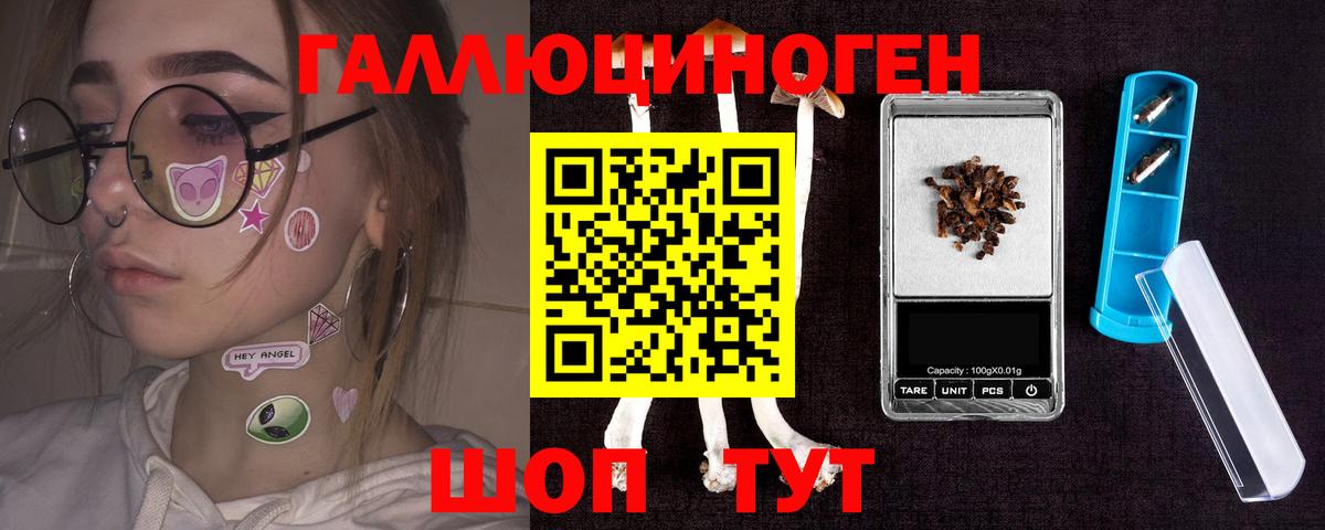 Луга  Псилоцибиновые грибы Cubensis  Вход с VPN 