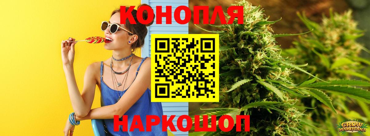 Канабис гибрид  Вход с VPN  Луга  Марихуана сатива  Бошки Шишки White Widow 